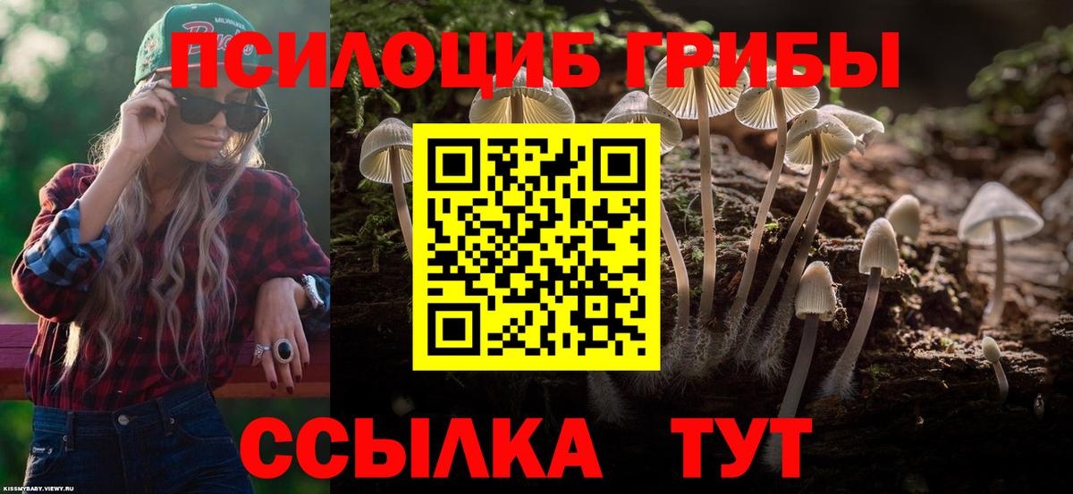 Астрахань  Галлюциногенные грибы ЛСД  Вход с VPN 